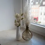 Maximilianstrasse Apartment
